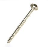 Close-up of a stainless steel wood screw with a square drive head on white background